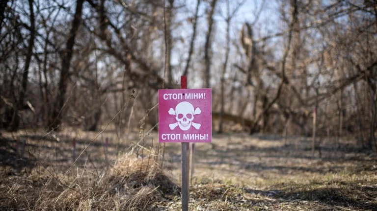 A sign reads 'Stop mines!' in a forest near the village of Ozerne, Ukraine. © UNHCR/Marta Iwanek