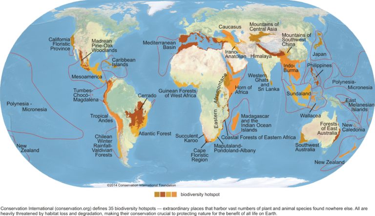 Coronavirus: Biodiversity meeting moved from China to Italy