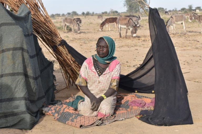 Africa al centro dell’allarme UNHCR per le crisi umanitarie in Sahel e Darfur