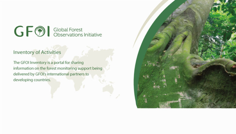 Foreste: Fao, primo portale per seguire lo sviluppo delle capacità di monitoraggio