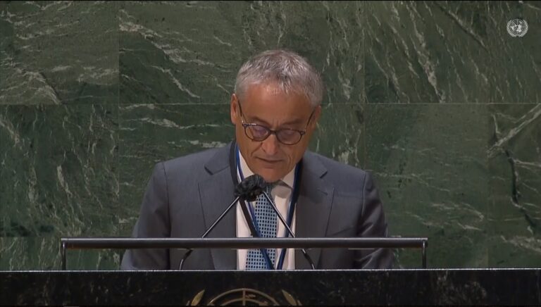 Security Council Reform: Massari calls for a  “reform for all”