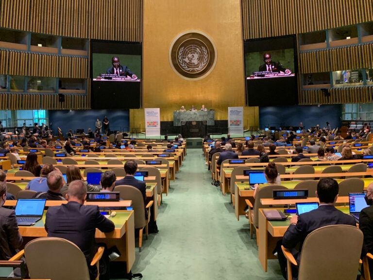 HLPF: adottata Dichiarazione, “ricostruire dopo Covid senza lasciare indietro nessuno”