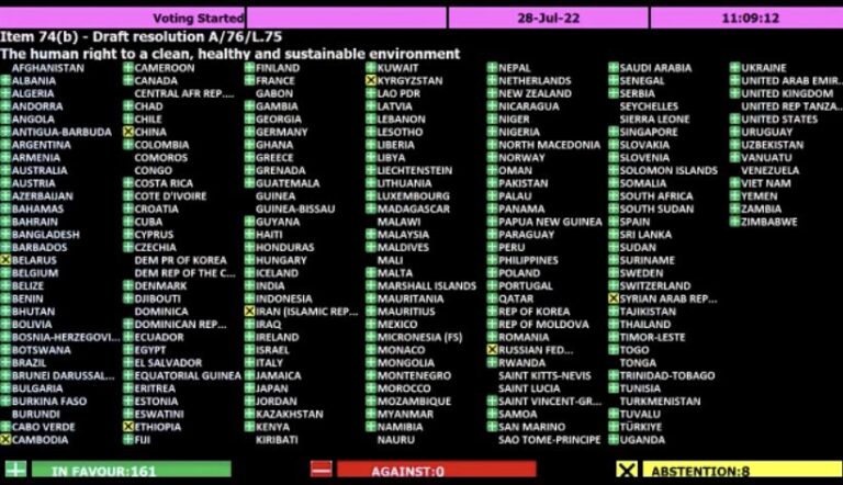 With 161 yes UNGA adopts resolution on human right to clean environment