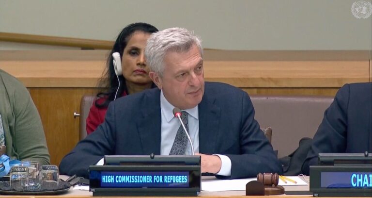 Grandi addresses UNGA Third Committee, meets Massari