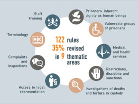 Mandela Rules: UNODC wins Award from International Corrections and Prison Association