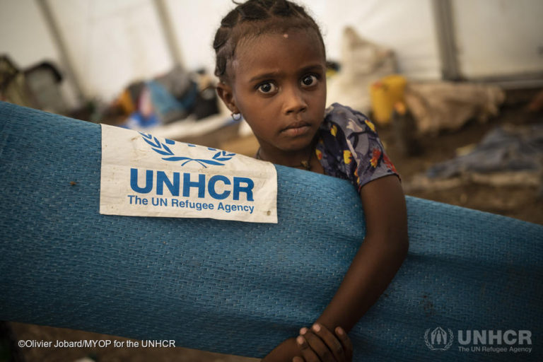 UNHCR is 70 years old today: Grandi, 