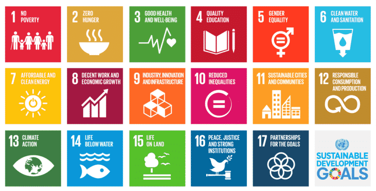 Agenda 2030: Onu, Covid è stato un colpo di maglio in tutti i settori