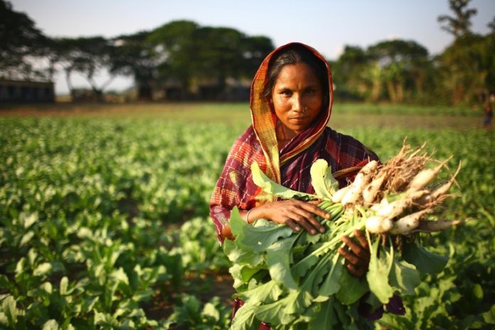 rural women donne rurali