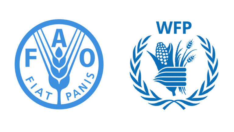 Congo: allarme FAO e WFP, una persona su tre soffre di fame acuta