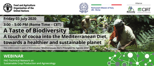 Cocoa and Mediterranean Diet: a webiner co-organized by Italy, Bioversity and FAO