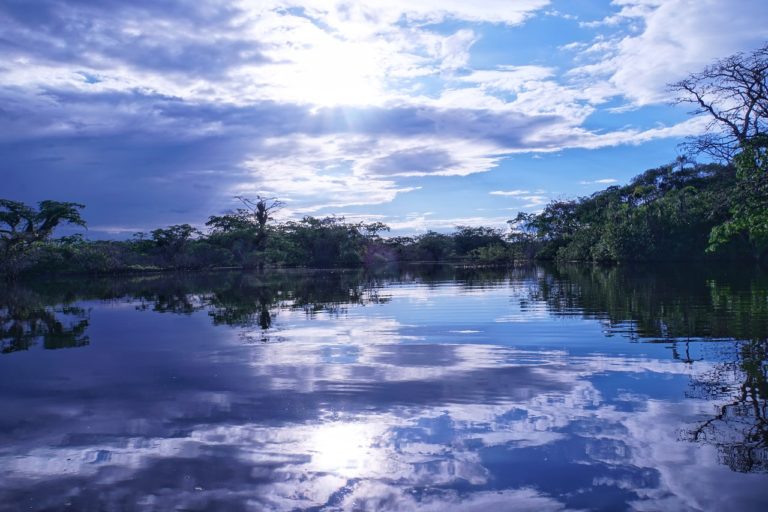 Amazzonia: Guterres vuole riunione dedicata durante Assemblea generale di New York