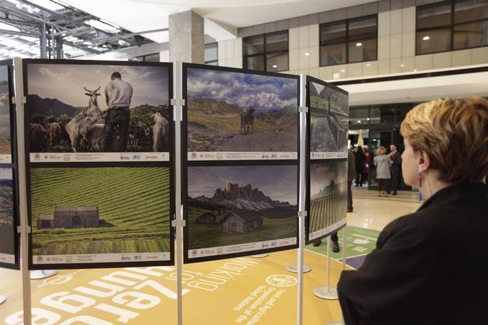 Italy and FAO highlight the importance of the Mediterranean diet for the sustainable management of land and water resources