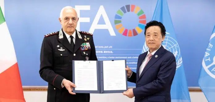 FAO e Carabinieri rinnovano Memorandum d’intesa, focus su ambiente e agroalimentare