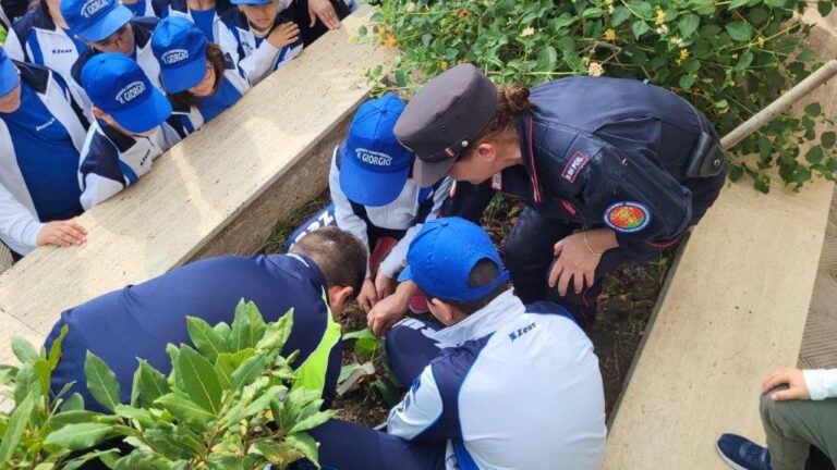 Biodiversità: mostra all’ONU sulle attività del Comando unità forestali ambientali e agroalimentari dei Carabinieri