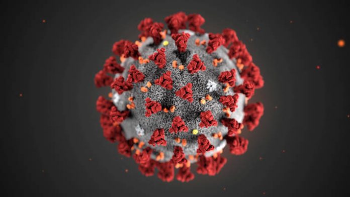 Covid-19: OMS sospende uso idrossiclorochina, ‘Va testata meglio’