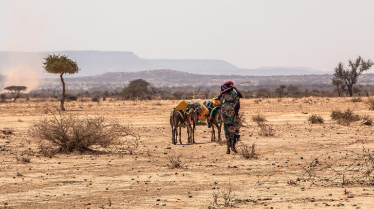 Etiopia: UNPFA, la storia di Amino e del suo bambino, vivo grazie al sistema di assistenza a donne e neonati