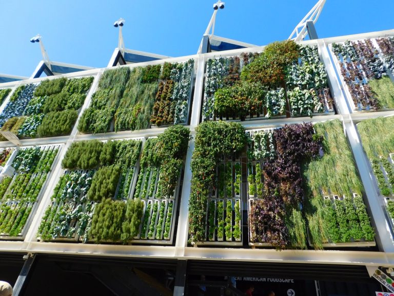 EXPO Milano giardino verticale pixabay