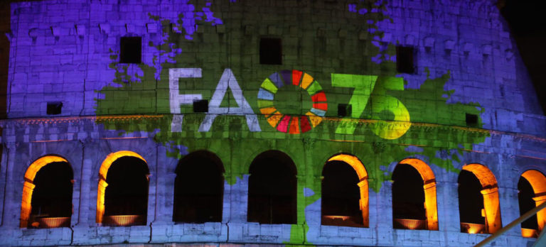 World Food Day: Rome’s Colosseum illuminated to mark FAO’s 75th anniversary