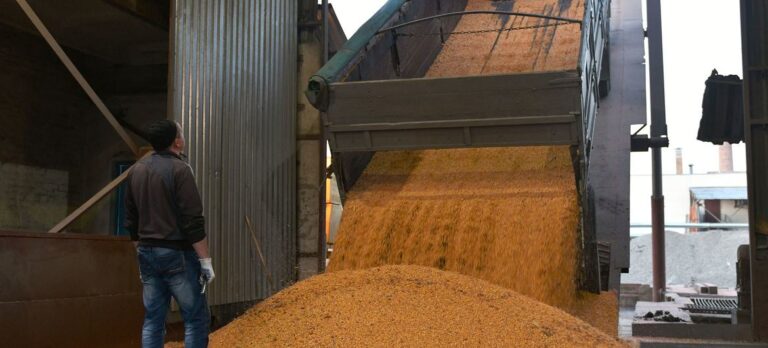 Ukraine: WFP, open ports and avoid “mountains” of grain from going to waste