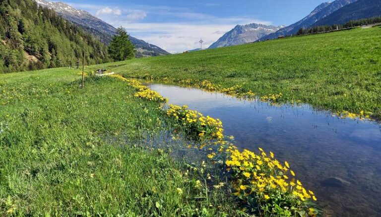 UNESCO: Traditional Irrigation in Val Venosta inscribed as Intangible Cultural Heritage