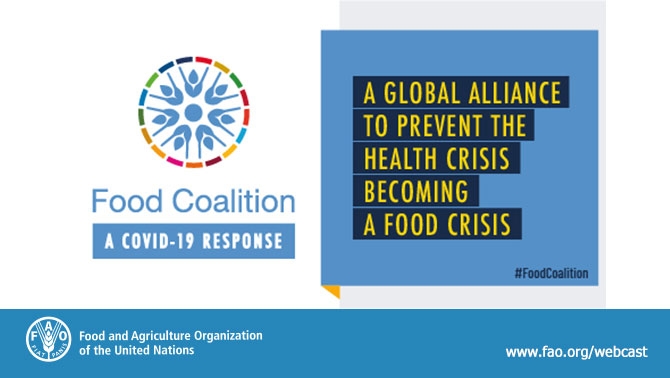 food coalition