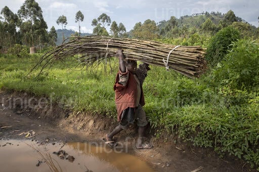 Lavoro minorile: primo aumento in 20 anni, dice rapporto congiunto ILO e UNICEF