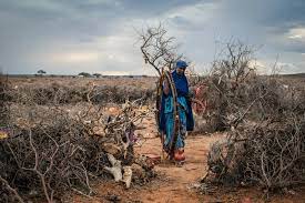 Somalia: attentati e crisi climatica, volo umanitario della Cooperazione italiana