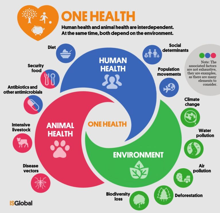 Nasce l’Intergruppo Parlamentare One Health: ”Tra ambiente e salute umana e animale tutto si tiene”