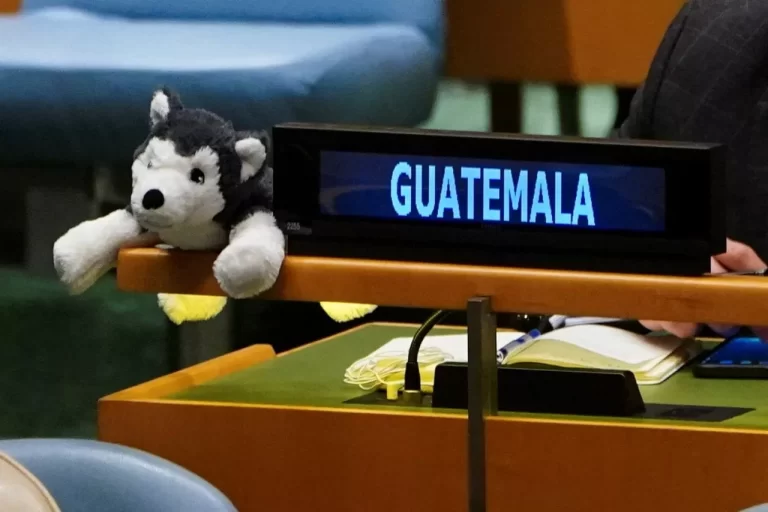 Ucraina: durante il voto Onu compaiono pupazzi di peluche sui tavoli dei delegati