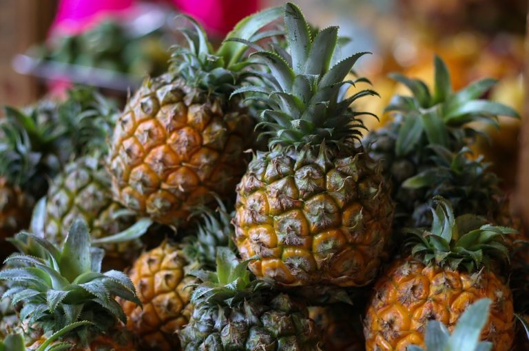 Cooperazione allo sviluppo: filiera dell’ananas in Togo, positivo il bilancio del primo anno