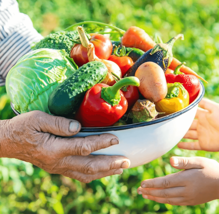 Giornata mondiale Alimentazione: si inaugura con Papa Francesco, Qu e Mattarella