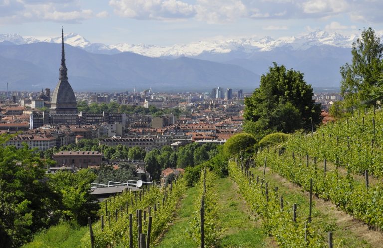 Fao-Tree Cities of the World: tre città italiane tra i pionieri delle foreste urbane sostenibili