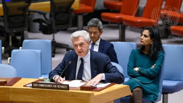 Gaza: Filippo Grandi’s address to the UNSC on October 31