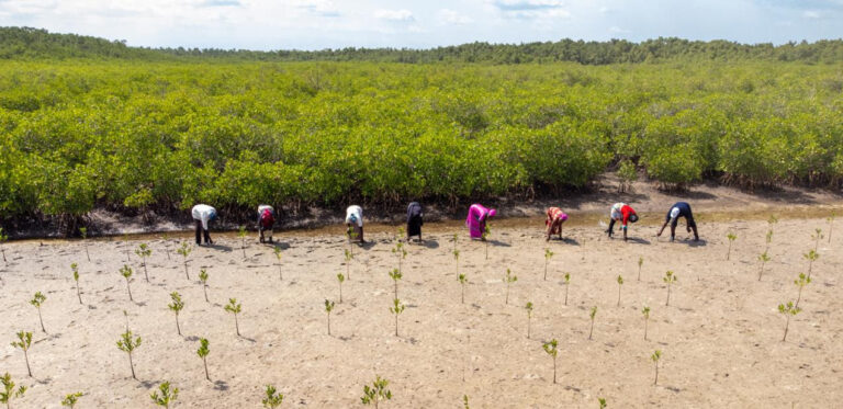 foto ifad small scale farmers