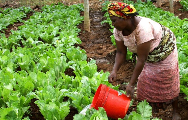 Parità di genere: per l’8 marzo agenzie ONU chiedono iniziative più coraggiose